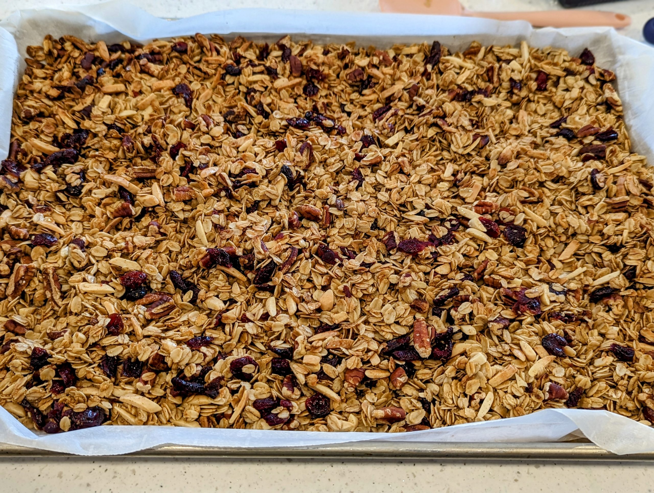 Cranberry Nut Granola